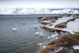 Spitsbergen_2025 (74/78)